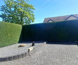 No Limit Gartengestaltung Bild 7