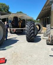 Euromaster Tasini Gomme immagine 11