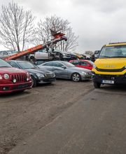 WhatsApp Image 2024-10-09 at 09.13.50(1).jpeg