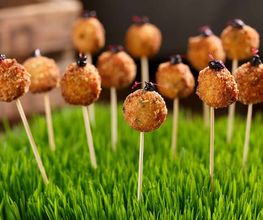 Ragaz Catering Bild 8