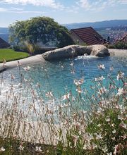 Daniel Moquet signe vos piscines - Ent. Chauvin image 12