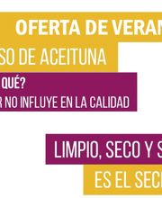 oferta-hueso-2016-1024x362.png