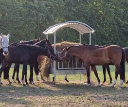 Reitanlage Gut Fahenstedt