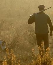 Mayet Patrick image 3