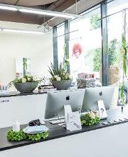 Amici Hair Design Bild 20