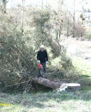 Bouvier Gianni image 15
