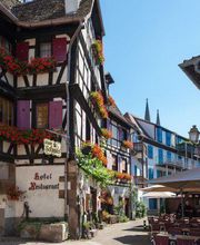 Zum Schnogaloch image 2