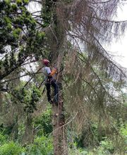 Jardins Arborés image 14