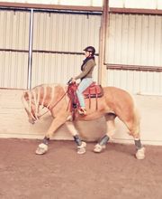 Carowesa Westernreiten Bild 3