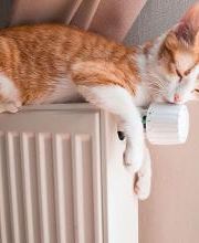 Piscis System imagen 9