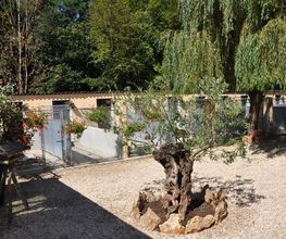 Canicat image 14