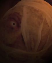 Escape Mind image 14