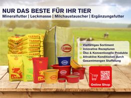 Fulminant GmbH