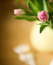 Praxis für ganzheitliche Paarberatung und Sexualtherapie Bild 4