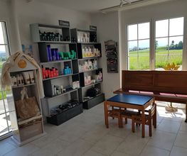 Salon Rita Bild 5