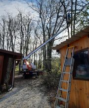 Mickael élagage image 7