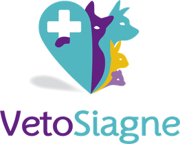 VetoSiagne Pégomas