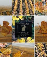 Waris Larmandier EARL image 2