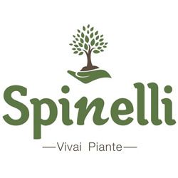 Spinelli Vivai Piante logo