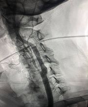 Downriver Heart & Vascular Specialists, PC image 1