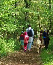 Les Psytrucs de Shana image 12