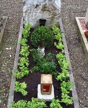 Gärtner Widmer Bild 4