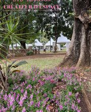 ETB Réunion image 6