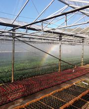 Ets Degauchy image 9