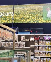 Animalis Cesson image 3