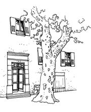 Collot Patrick image 1