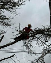 E.T.E. Le Charme image 3