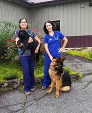 Broad River Animal Hospital image 2