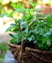 Marion Thierl Bild 10