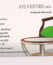 Sylvestre Eric image 6