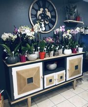 Godan Fleurs image 1