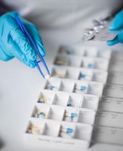 Ihre Apotheke in Basel