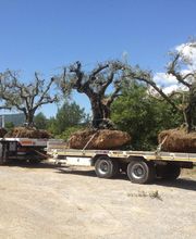 Borgna & Fils - TRANSPORTS image 18