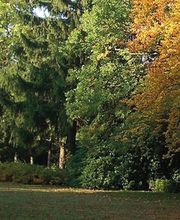 Kommunales Bestattungshaus der Stadt Chemnitz Bild 1