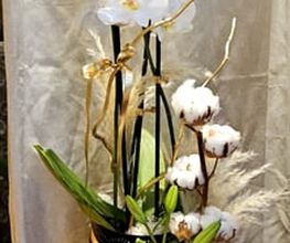 Blumengeschäft Blattmaus Bild 9
