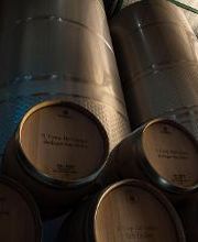 Cooperativa del Campo San Isidro imagen 3