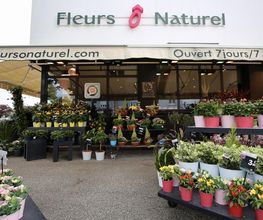 Fleurs Ô Naturel image 4