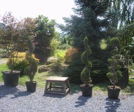 Pépinière des Pyrénées image 13