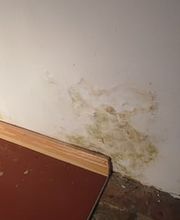 Ingo Laschinski Sachverständiger Bild 6