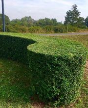 Brian Gibbs image 12