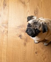 Keller + Steiner Wand- und Bodenbeläge Bild 12