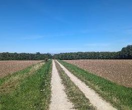 FriedWald Fahner Höhe Bild 2