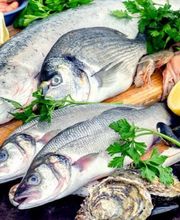 Novameditpesca Sàrl Bild 3