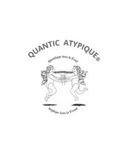 QUANTIC  ATYPIQUE image 7