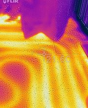 Huguenot Monteverdi image 5