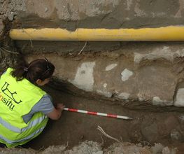 IN SITU SCP imagen 8